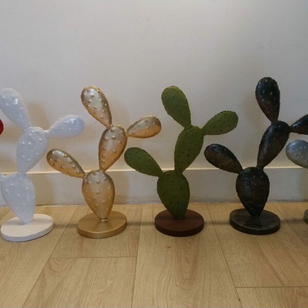 Cactus raquette modèle S