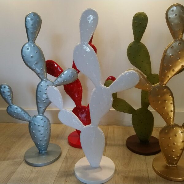 Cactus raquette modèle M