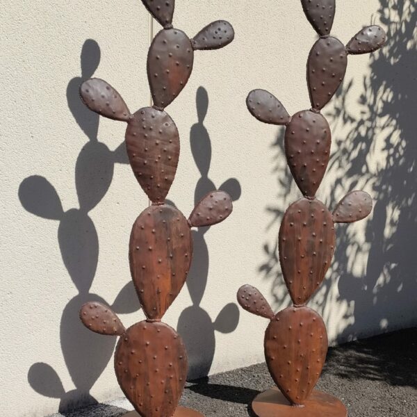 Cactus raquette modèle XXL