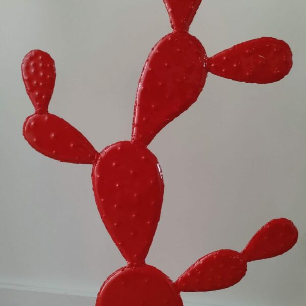 Cactus raquette modèle L