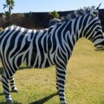 Zèbre en métal, sculpture élégante pour ambiance savane vue 3