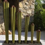 Série de cactus colonnes en métal vert installés dans une cour en pierre