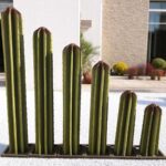Série de cactus colonnes en métal vert installés dans un extérieur