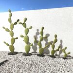 Sculptures vertes en métal en forme de cactus alignées sur des graviers blancs sous le soleil