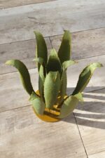 Agave en métal vert posé sur terrasse en bois dans un jardin