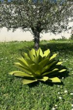 Agave métallique posé au pied d’un olivier