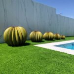 collection de cactus coussin de belle-mère en métal