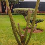 cactus type crayon en métal déco de jardin