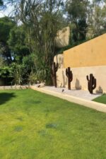 Cactus en métal à effet rouille, décoration contemporaine pour jardin paysager ou espace extérieur