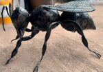 Sculpture d’abeille géante noire en métal, style industriel
